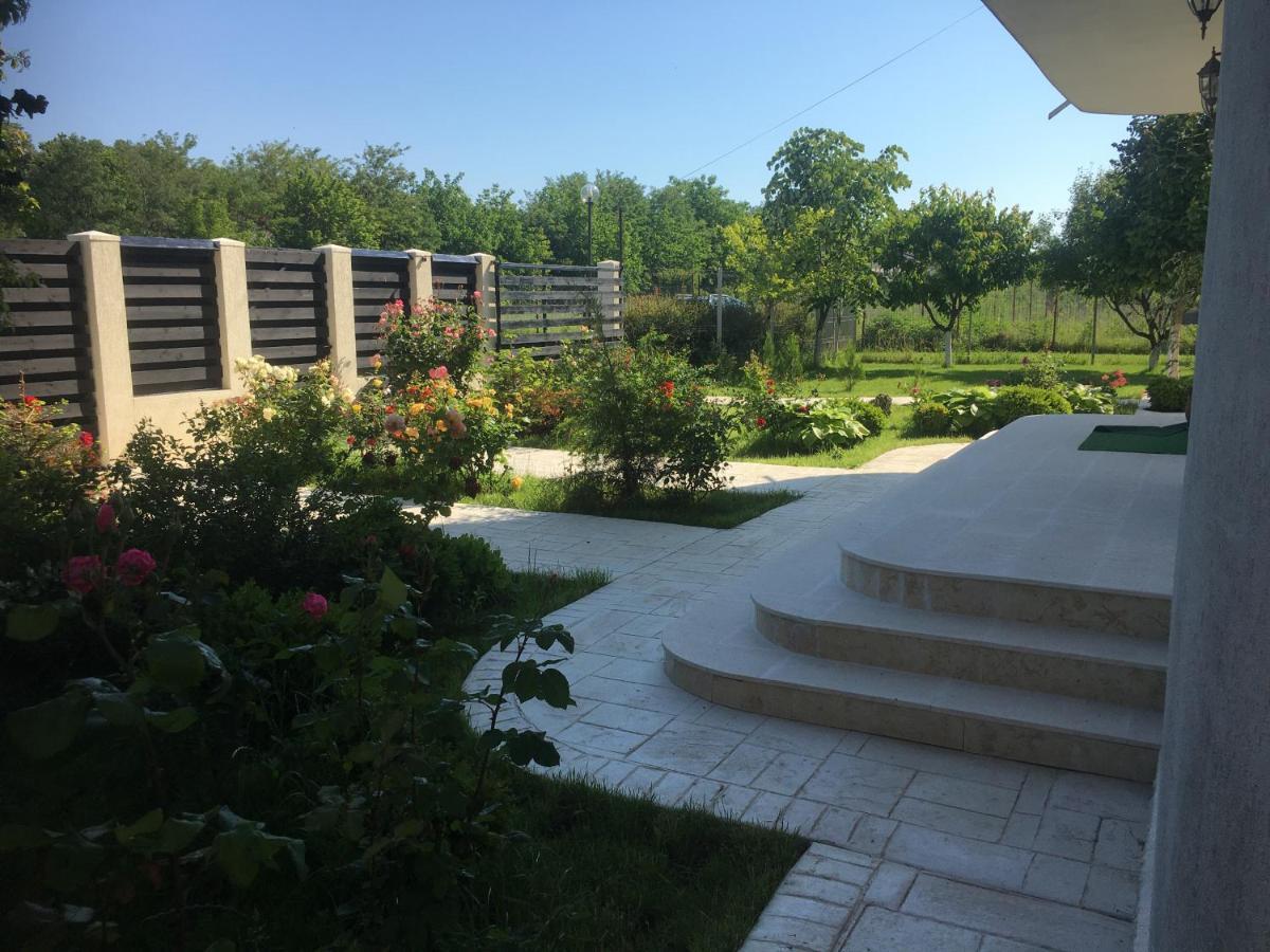 Vila Zoe Bucharestairport&Therme&Parking Otopeni Exterior photo